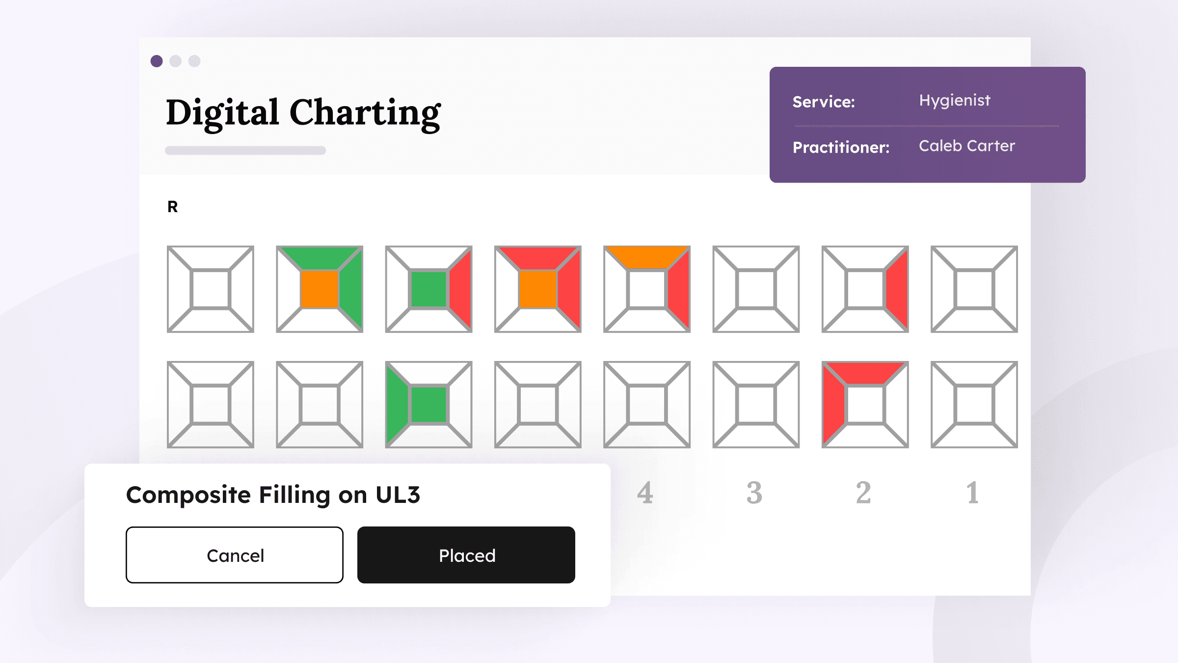 Digital Charting & Clinical Notes